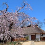 松田家資料保存整備事業